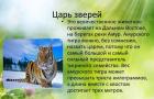 Презентация на тему «Амурский тигр
